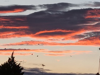 20220924_174109.jpg